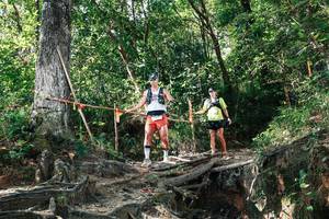 BIB: 
                            <button type="button" onclick="openModal(27799828)" class="btn btn-primary btn-sm float-right btn-popup" data-toggle="modal" data-target=".modal-high-quality">
                        <i class="fas fa-shopping-cart"></i> Add to Cart
                    </button>
                                            <button type="button" onclick="isThisMe(27799828, true)" class="btn btn-success btn-sm float-right btn-popup btn-isme hidden" data-toggle="tooltip" data-placement="bottom" title="นี่คือรูปของคุณใช่ไหม คลิกที่นี่เพื่อเอาเข้าอัลบั้ม">
                        <i class="fas fa-plus"></i> Add to album
                    </button>
                    <button type="button" onclick="isThisMe(27799828, false)" class="btn btn-warning btn-sm float-right btn-popup btn-isnotme hidden">
                        <i class="fas fa-ban"></i> Remove from album
                    </button>